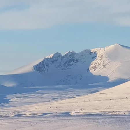 Snohetta Camping Hjerkinn Kültér fotó