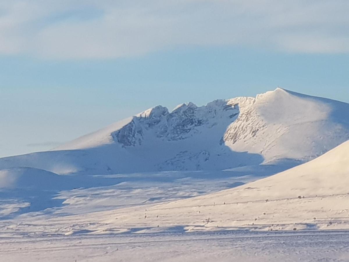 Snohetta Camping Hjerkinn Kültér fotó