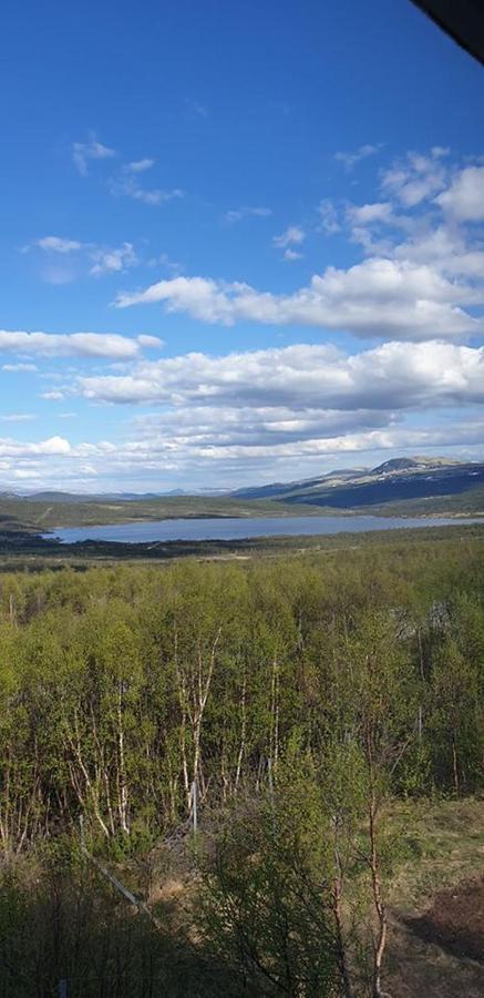 Snohetta Camping Hjerkinn Kültér fotó